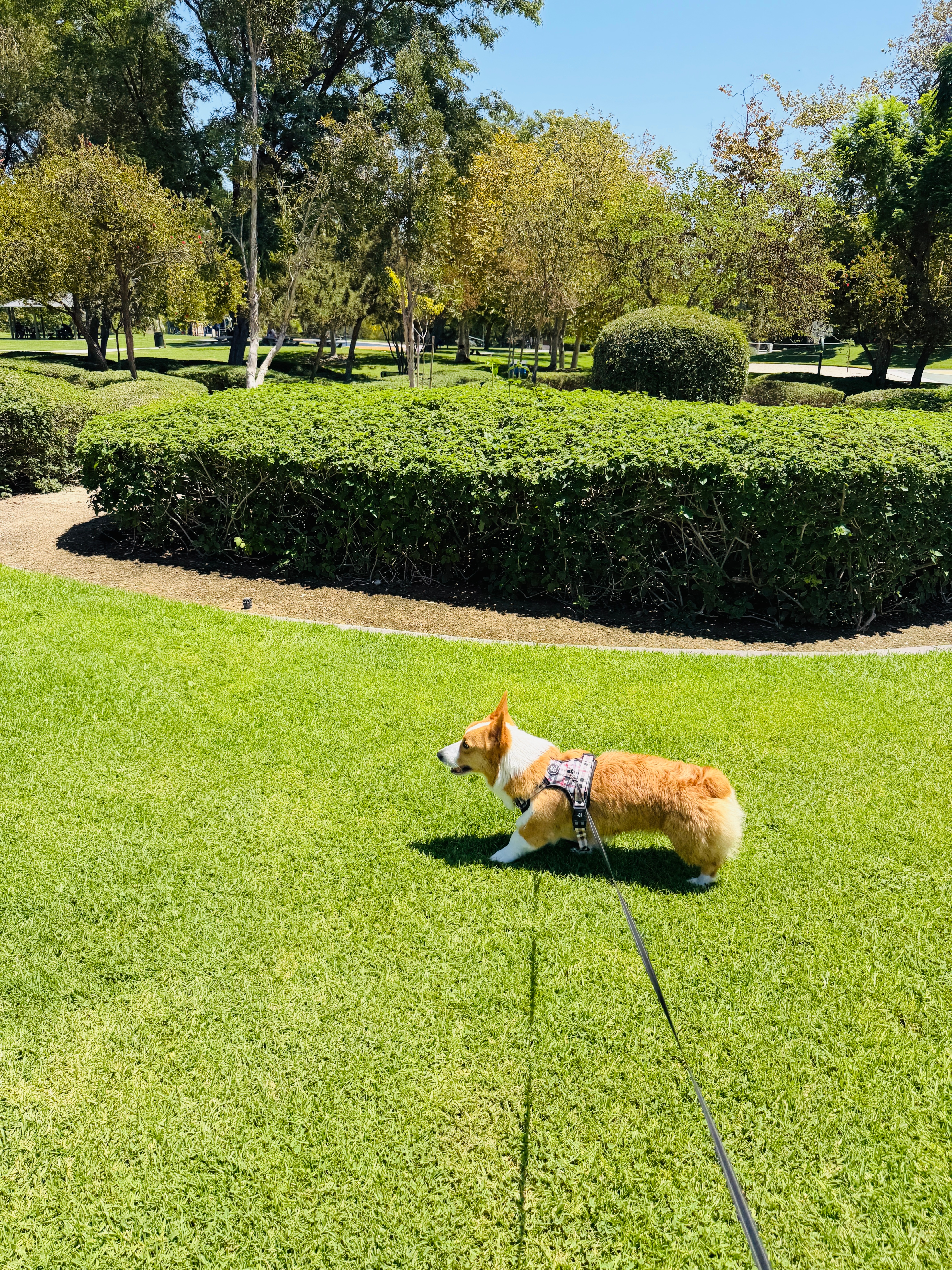 The sun is splendid, but you must bask i