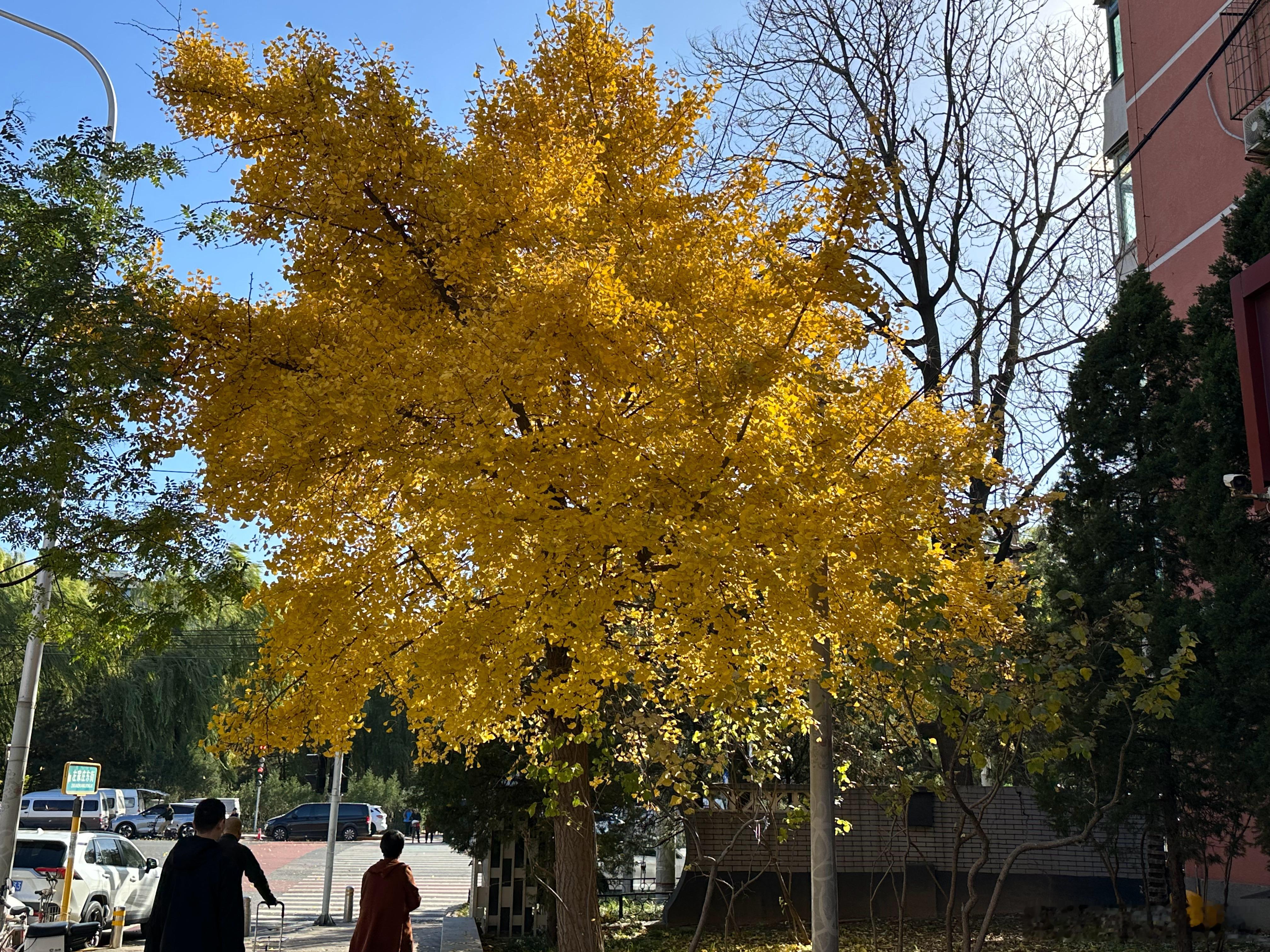 👏👏👏 善良是一种修养，善待他人就是善待自己，要想得到别人的爱，首先要学会