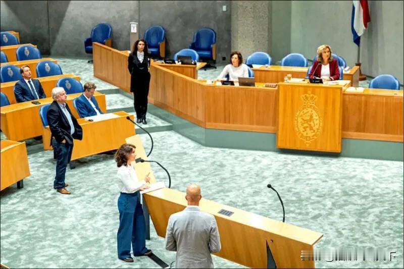 突发事件，荷兰议会今天通过决议，妄称中国“故意扭曲”联合国2758号决议，并支持