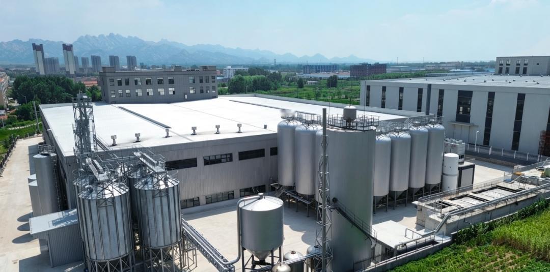 近日，位于青岛西海岸新区张家楼街道乡村产业振兴集聚区工业产业园内的青岛青特啤酒生