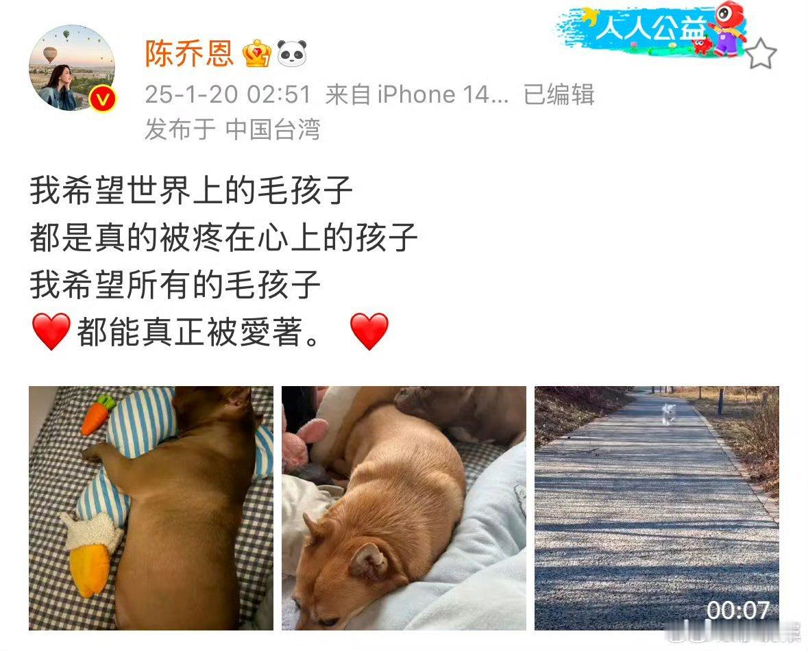 陈乔恩为网红狗艾特发声 以前那么多狗咬伤人的事件，也没见你冒出来，现在一个网红狗