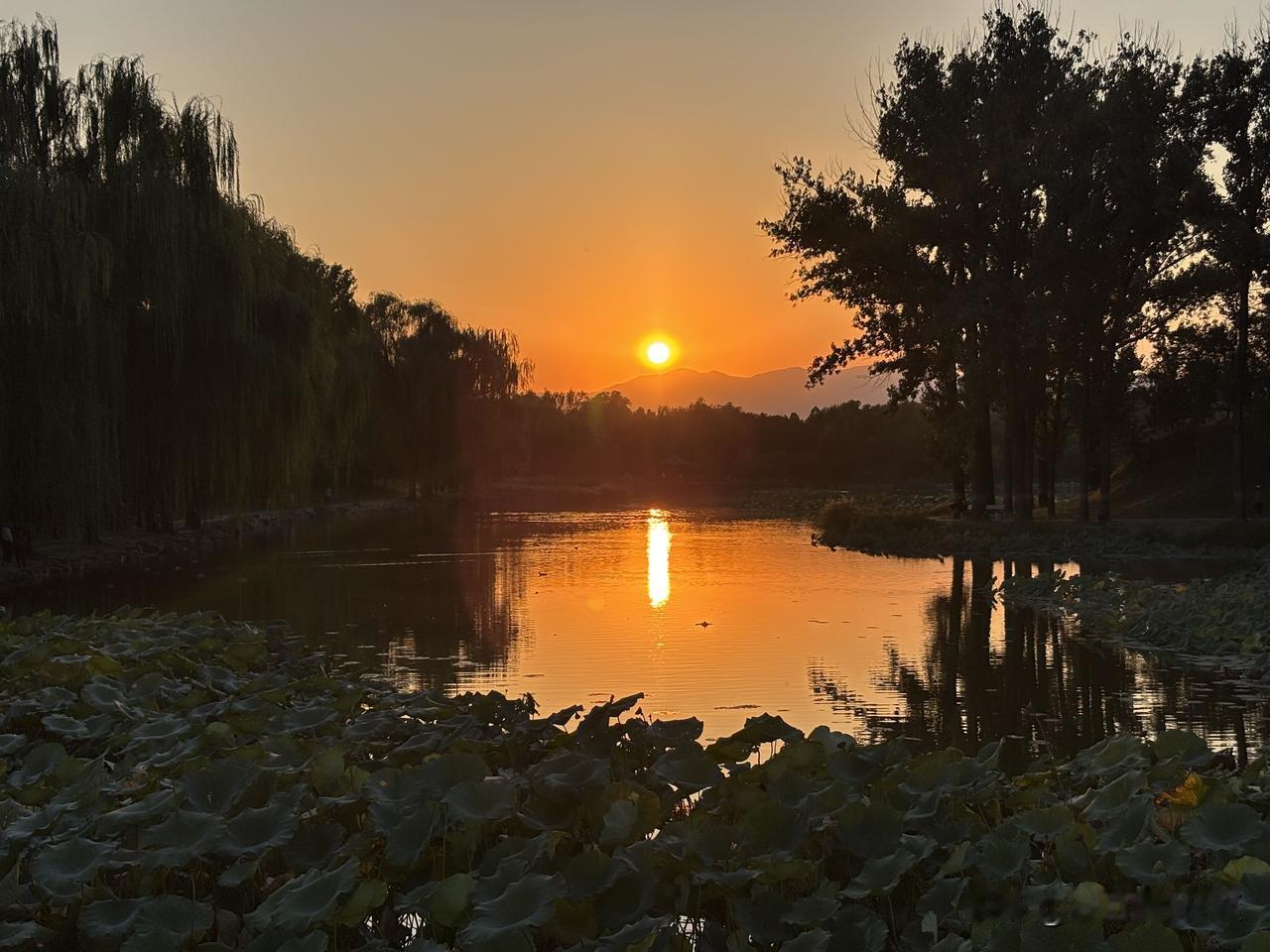 晒图笔记大赛其实只要你开心快乐身边到处都是美景。珍惜当下才是最可贵的美好。