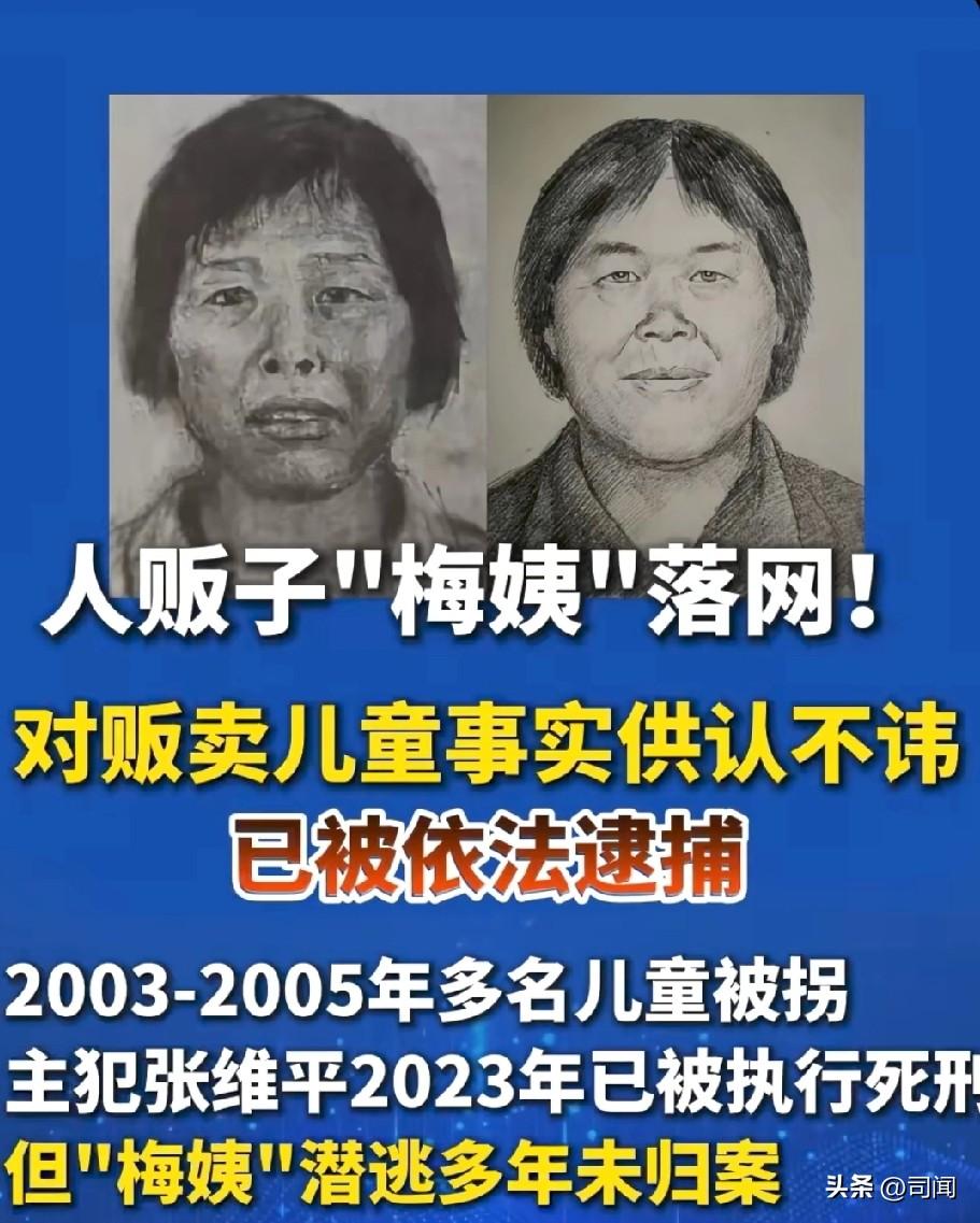 梅姨被抓落网！
如何被抓？被抓后该怎么判？！
2026年3月21日广州警方正式通