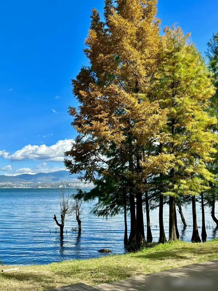 假如你手上有几套房子，没有贷款或者很少一点贷款时，不要想着现在房价下跌就卖掉。