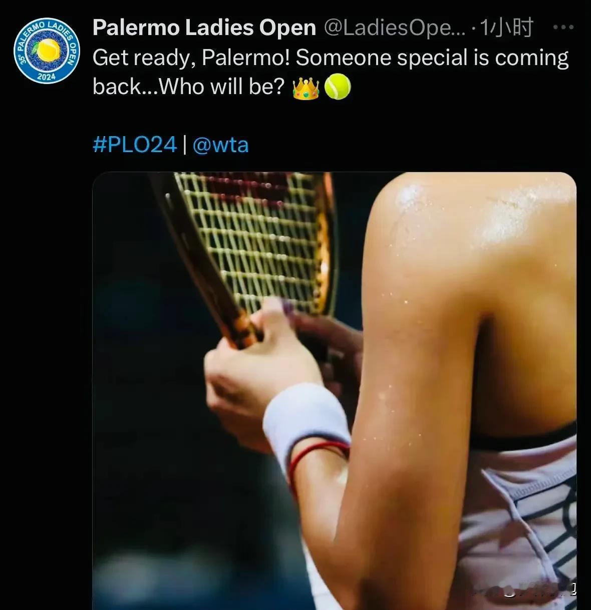 WTA250帕勒莫站官网这张图片意味很明显了吧?其中配文：有一位特别的球员即将抵