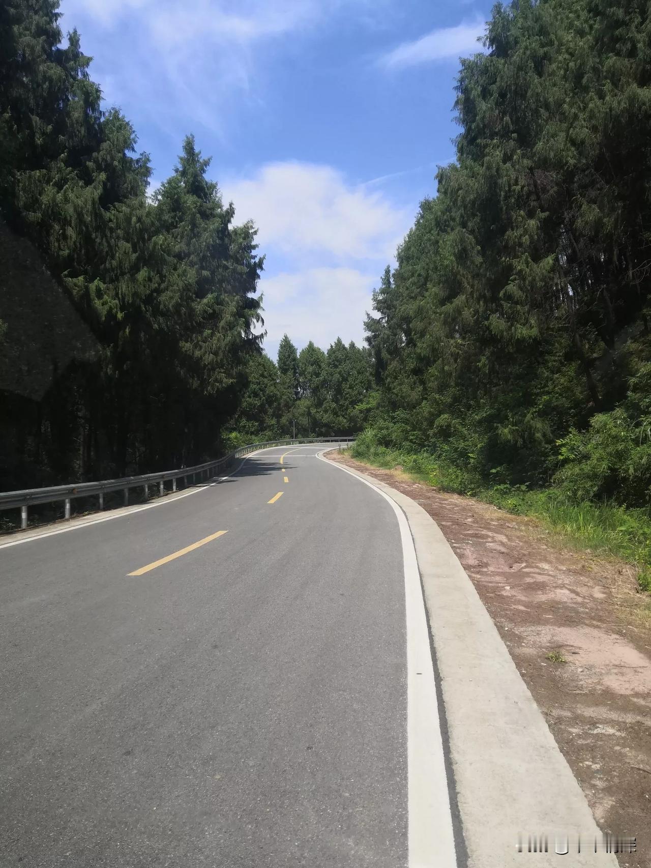 一条弯弯的公路，很美丽的川西环线，图片中的公路路上风景很美，两边的柏树，都在向驾