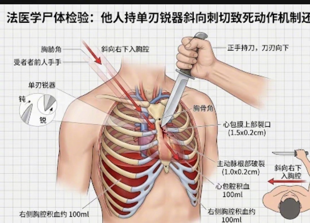 姚晨方回应感兴趣的朋友，可以在家买块肥肉，找一把水果刀，按照判决书上写的做一下实