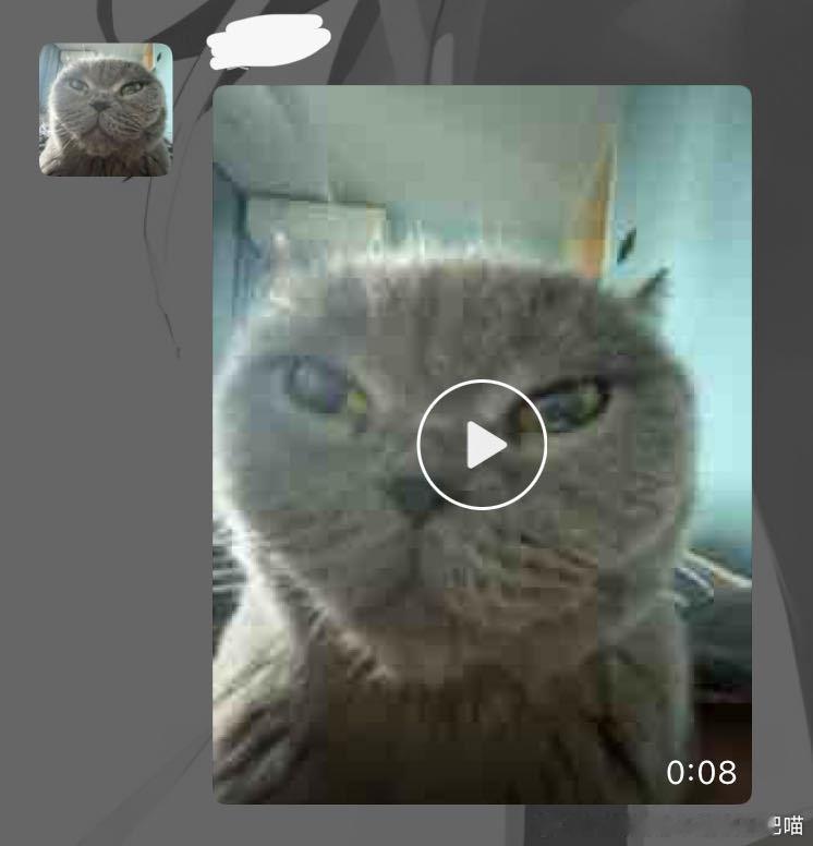 49450【丑猫】朋友的大黑耗子 