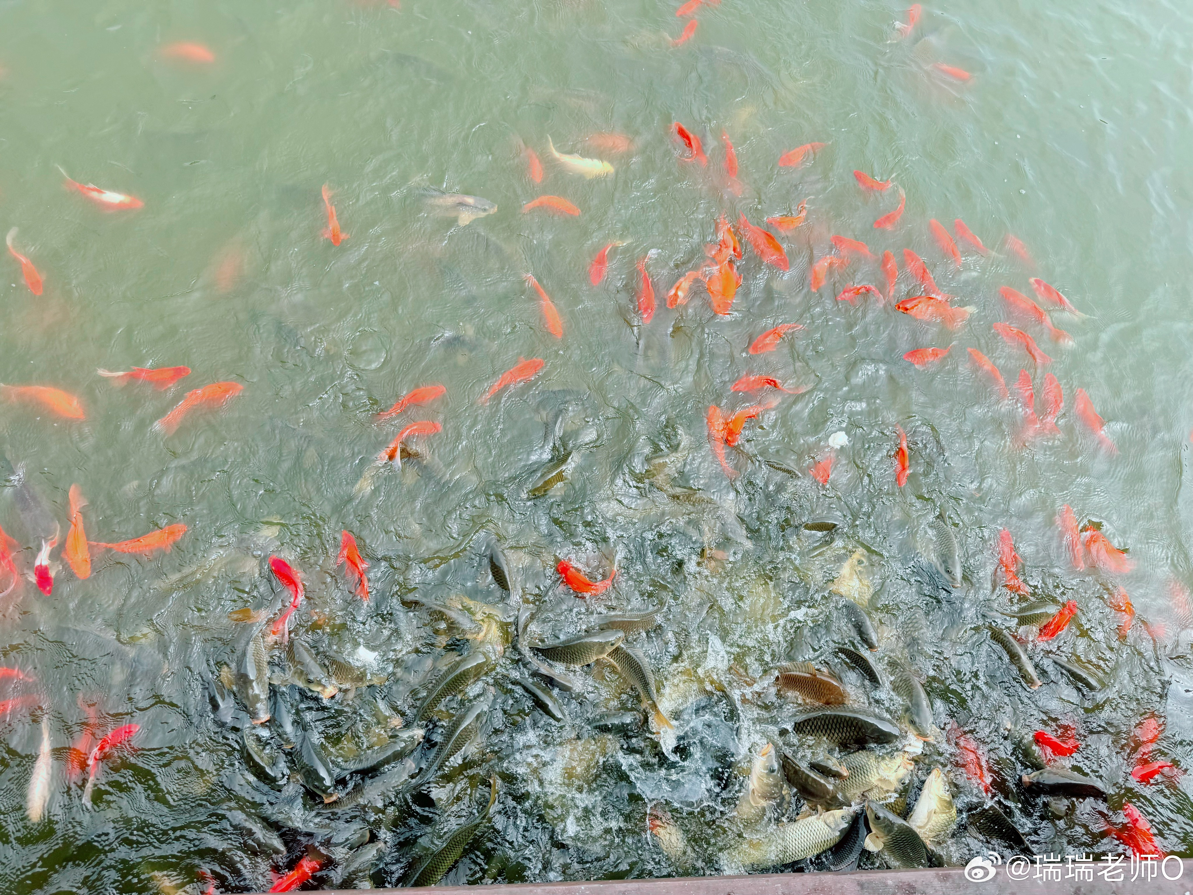 山里就是凉快呀哈哈哈哈哈哈 