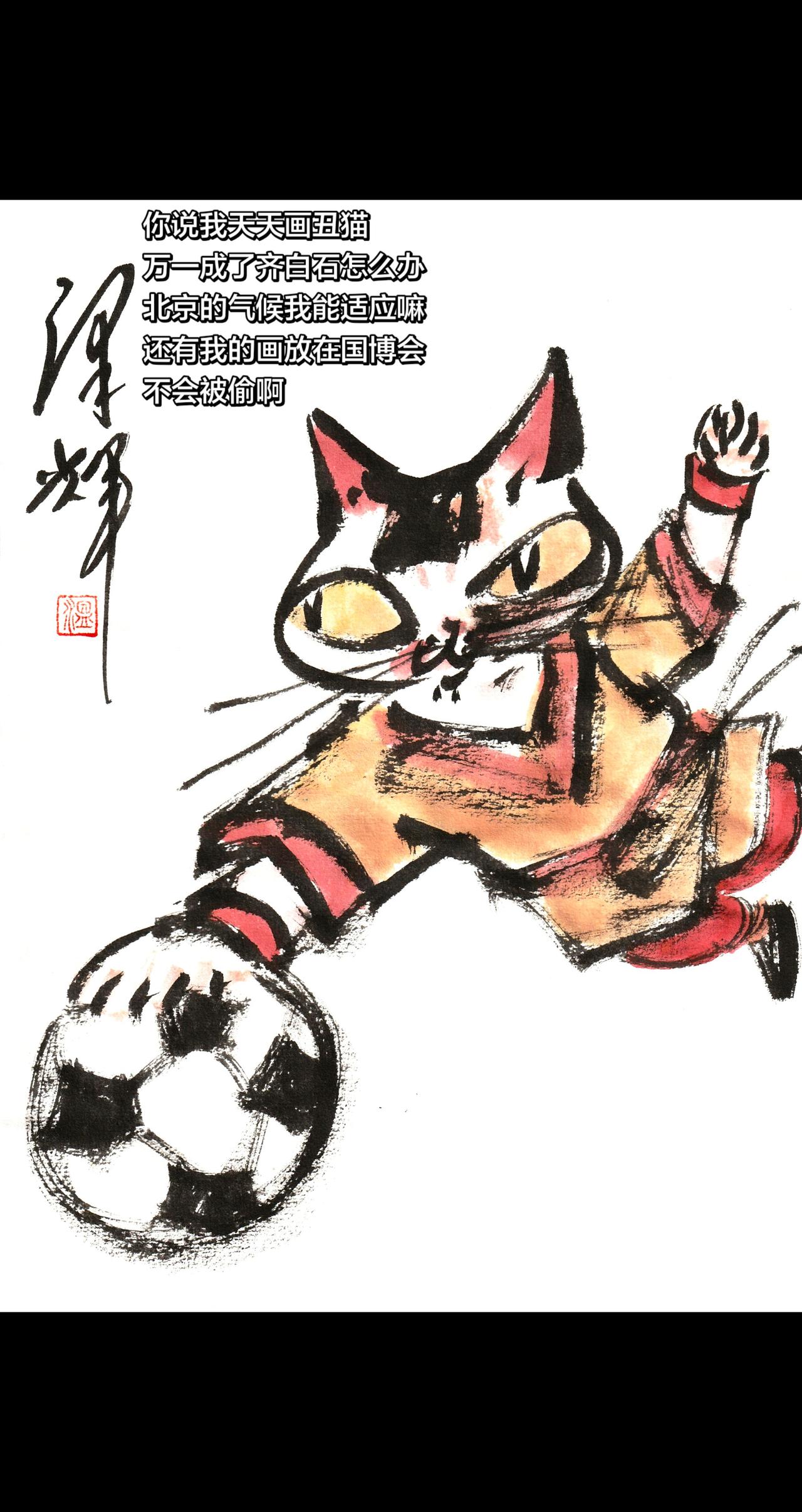 国画喵星人 猫届足球明星 国足猫 功夫女足 温泽辉潦草猫