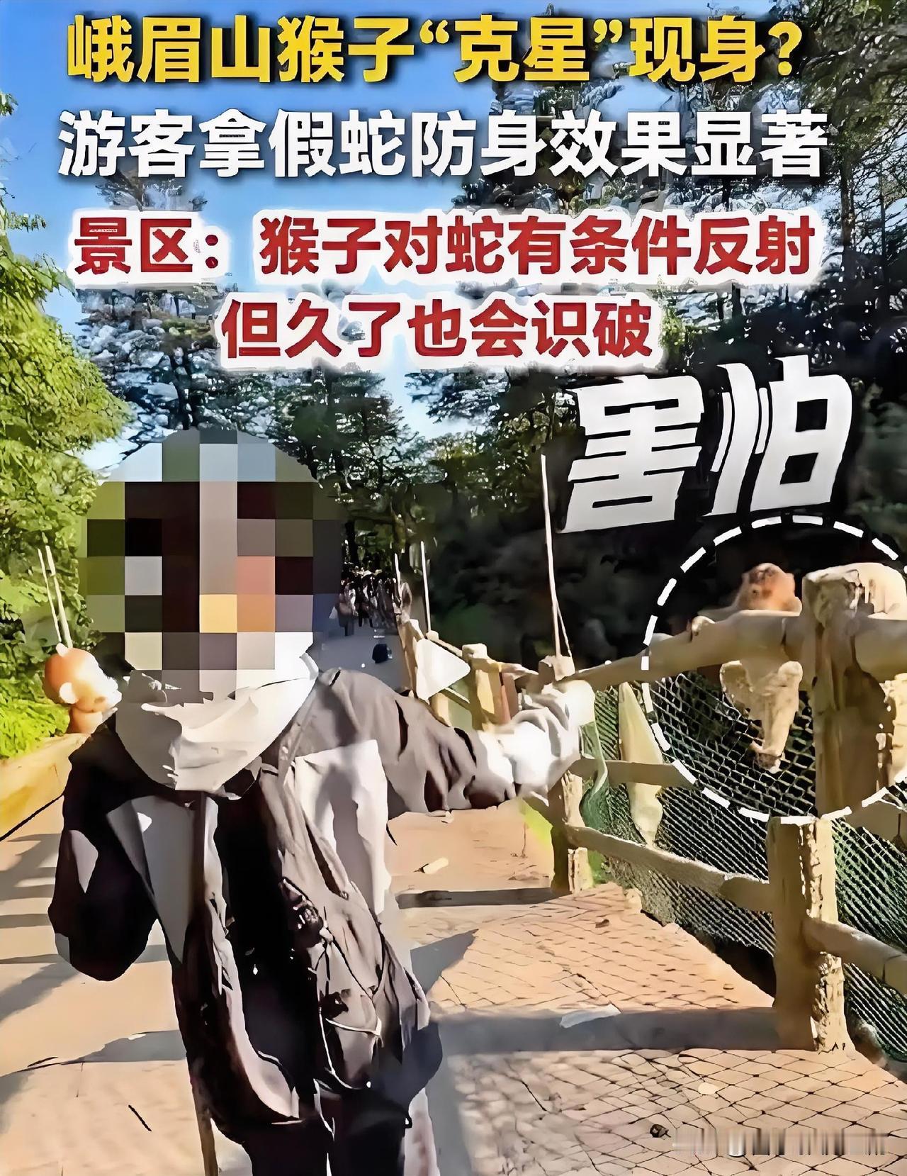 最近不少游客在峨眉山游玩时，掏出仿真假蛇应对拦路的藏酋猴，效果立竿见影。刻在DN