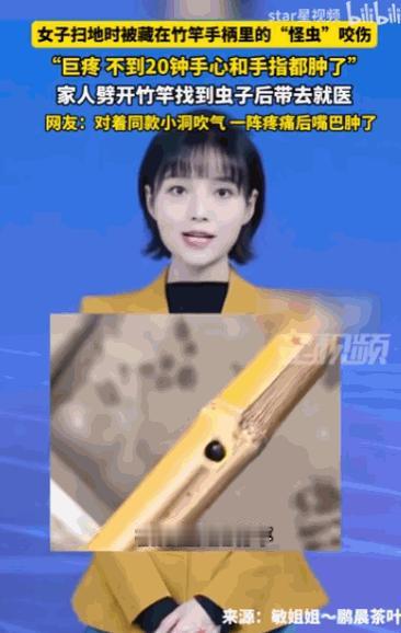 万万没想到！四川雅安，一位女子在家里扫地时，竟被扫把柄里窜出的一只“怪虫”狠狠咬