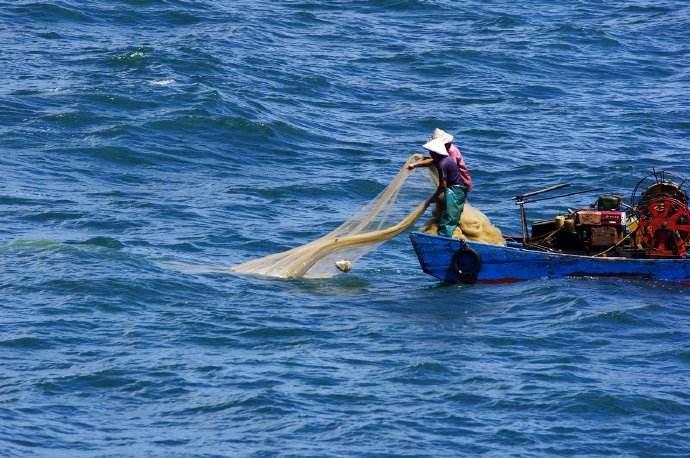 日本政客瞎闹腾，台湾渔民却捡了大便宜！祖国海警撑腰，捕鱼再也不用怕
 
台湾东北