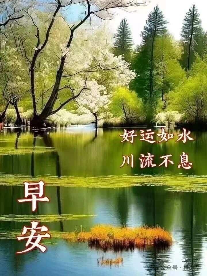 分享图片 ​​​