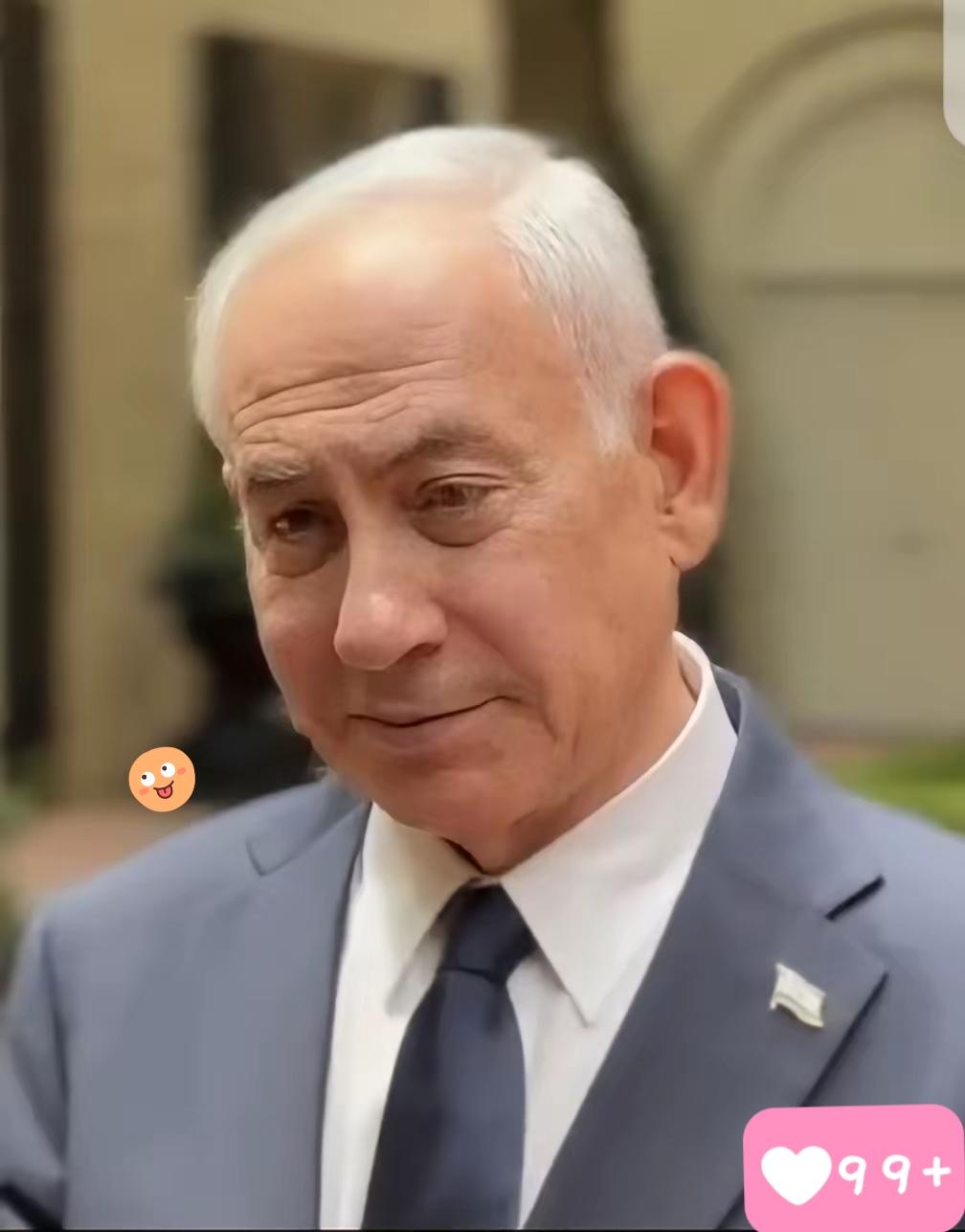 “双方得以交换看法，探讨对以色列国家安全与未来至关重要的各项议题。”内塔尼亚胡称