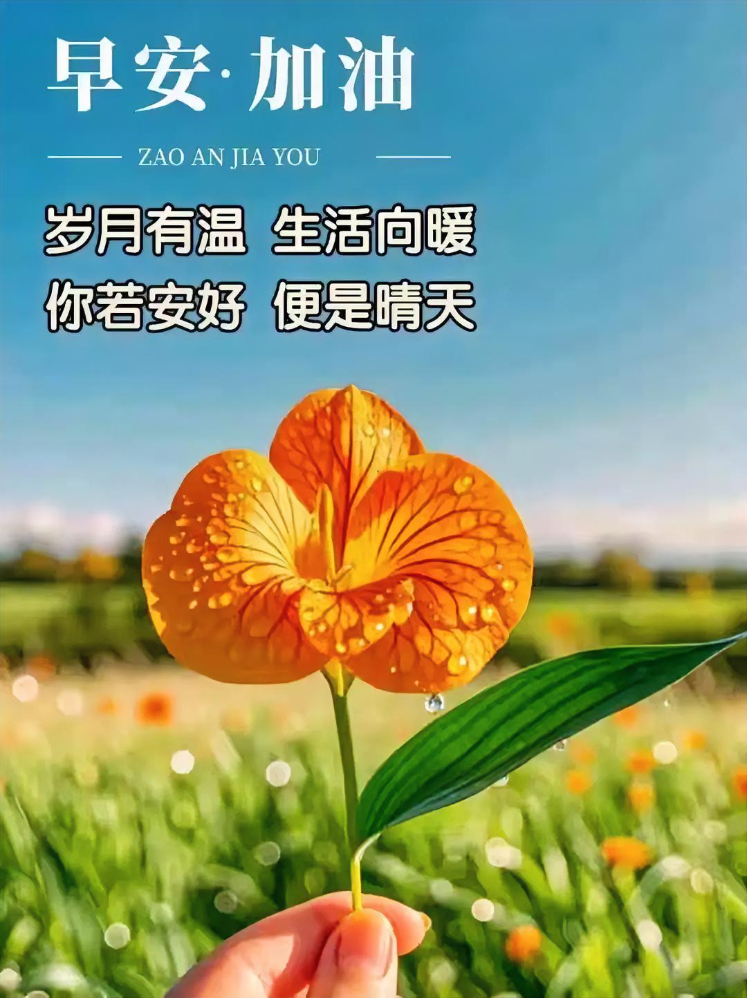 八月再见，九月你好。和夏天告别，与秋天相拥，愿目之所及皆是欢喜，心中所想皆能如愿
