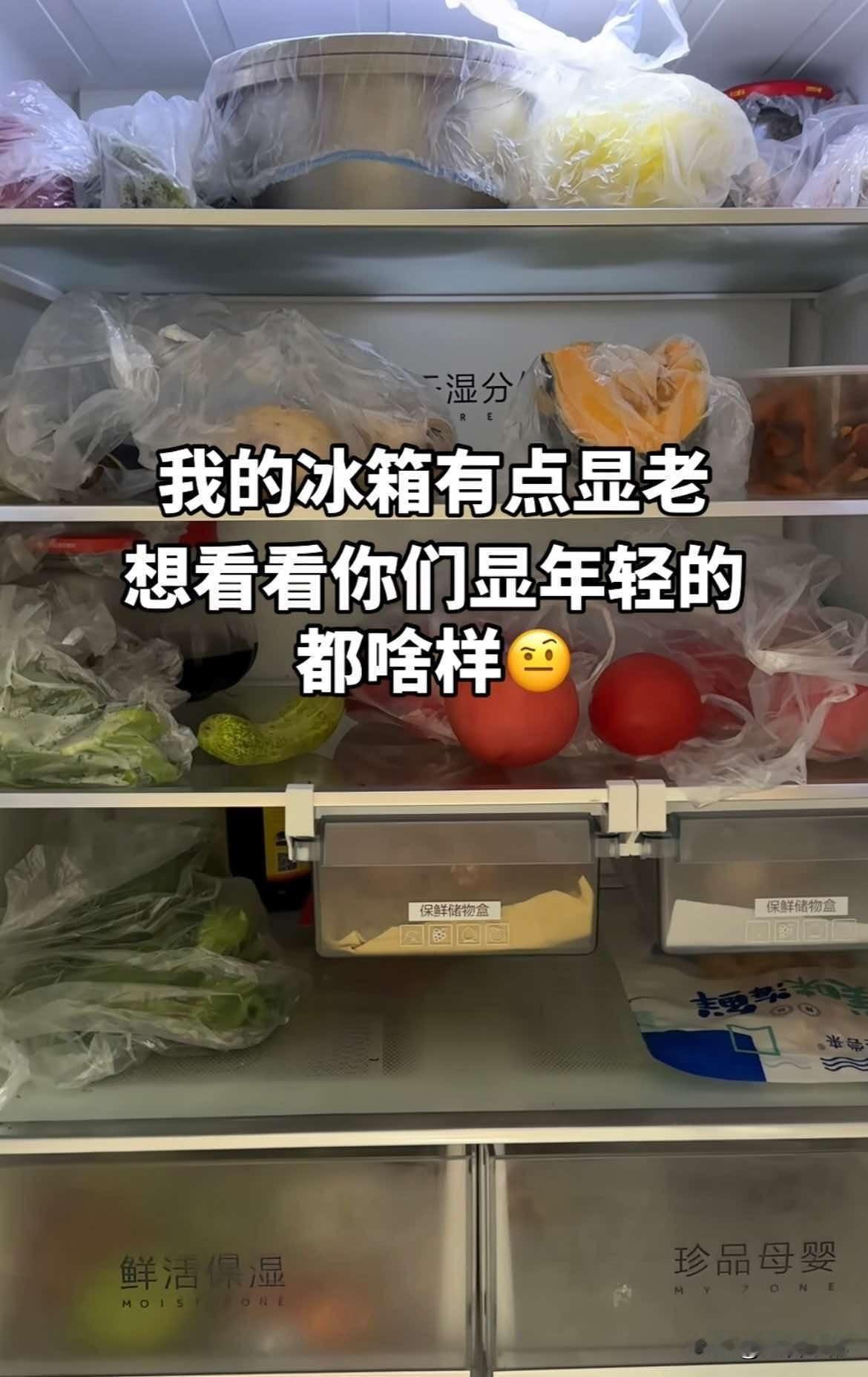 原来不显老的冰箱长这样！我的冰箱有点显老，你们的呢？
