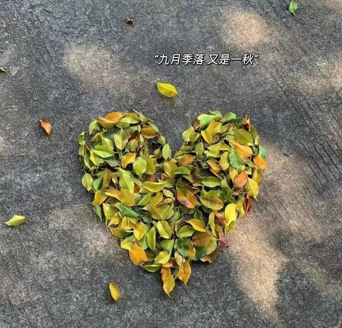 灯下读《鉴赏家》，“红花莲子白花藕，果贩叶三是我师。惭愧画家少见识，为君破例著胭