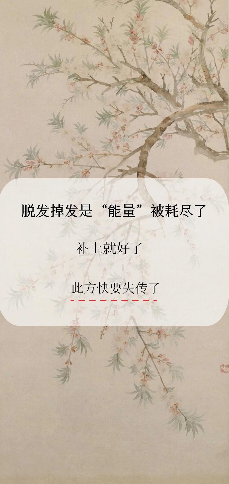 脱发掉发是“能量”被耗尽了
补上就好了
此方快要失传了

其实脱发本质上是身体的