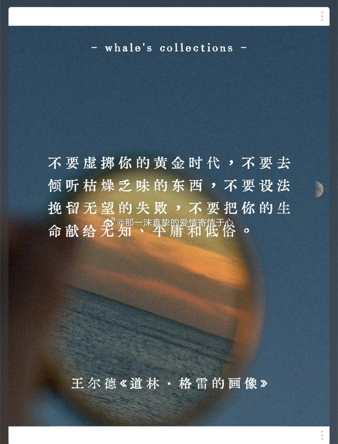 感恩拥有，期待未来，以积极之心拥抱每一个当下，生活终将回馈你以丰盈和美好。 