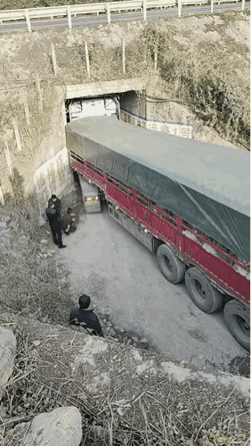 这可如何是好？真的进退两难～