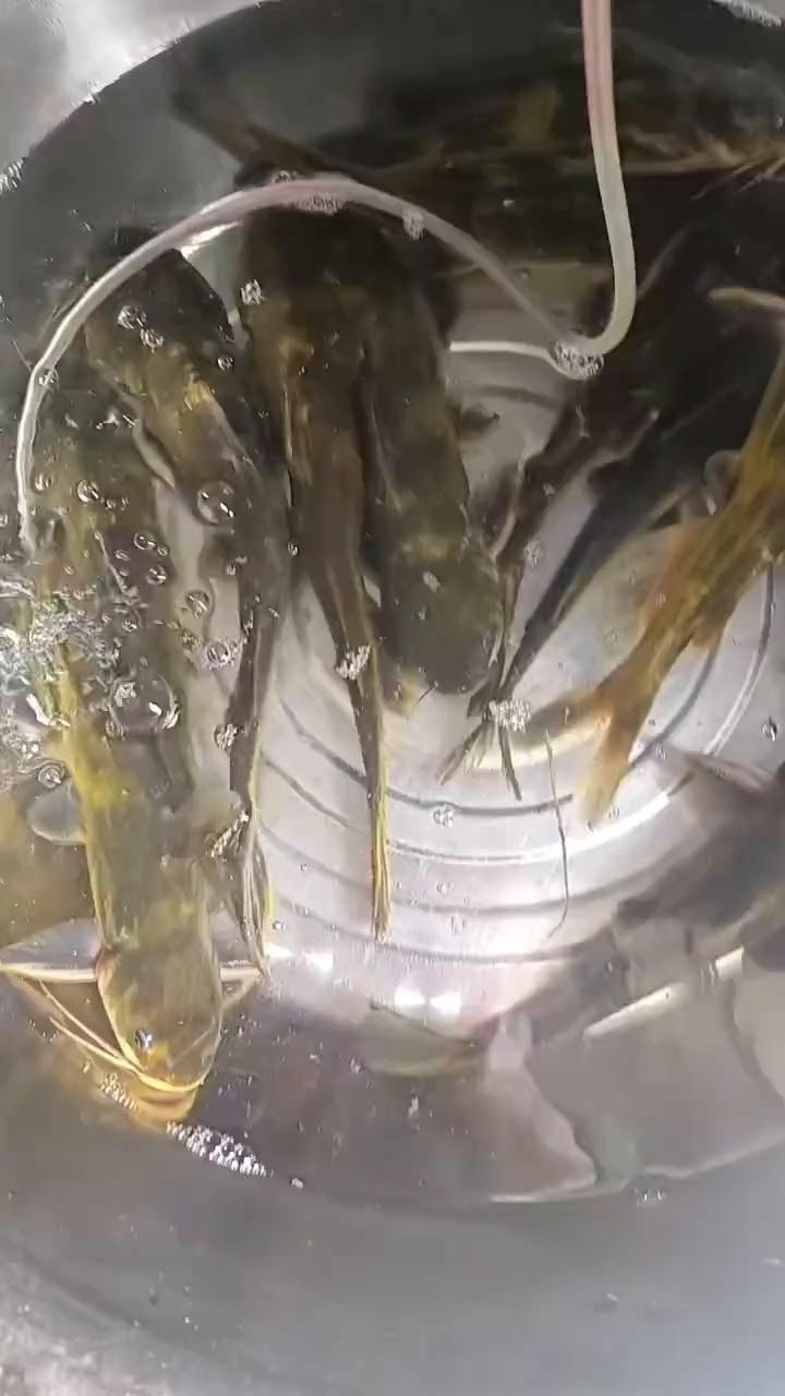 这回终于轮到我了吧。玩呢？