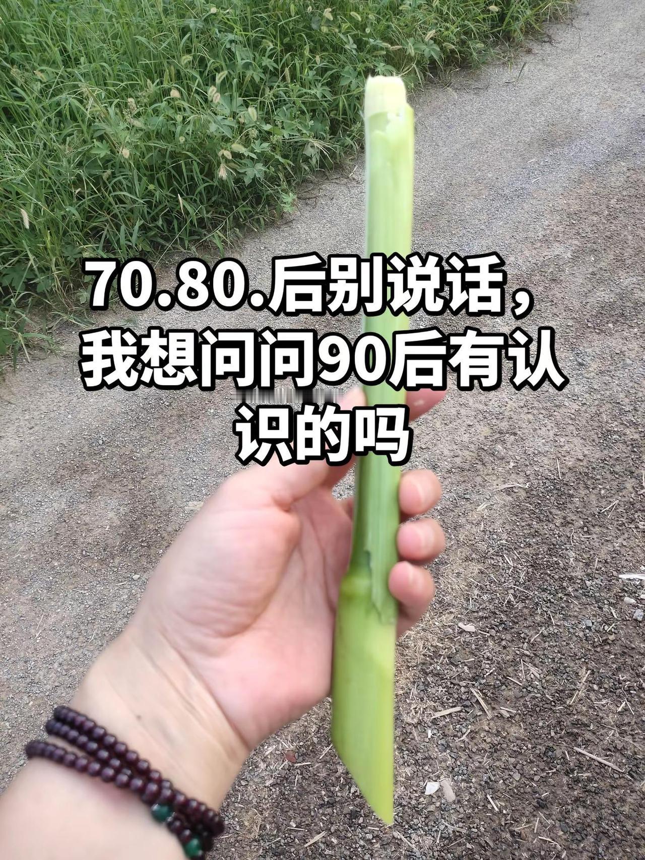 小时候没零食吃，就拿这个当零食吃