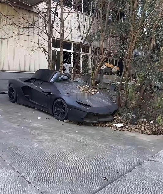 好奇车主怎么想的，这车给停放的 