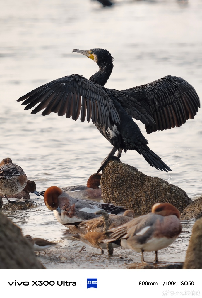 【数据时刻】这防抖和长焦确实顶，带增距镜还能手持拍1600mm，基本告别三脚架了