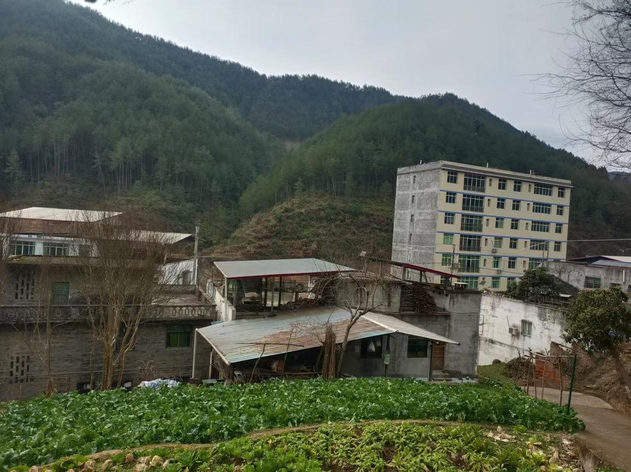 六十岁的婆婆去当保姆了，每月三千块钱，就是给镇上一个八十多的老太太做饭洗衣打扫卫
