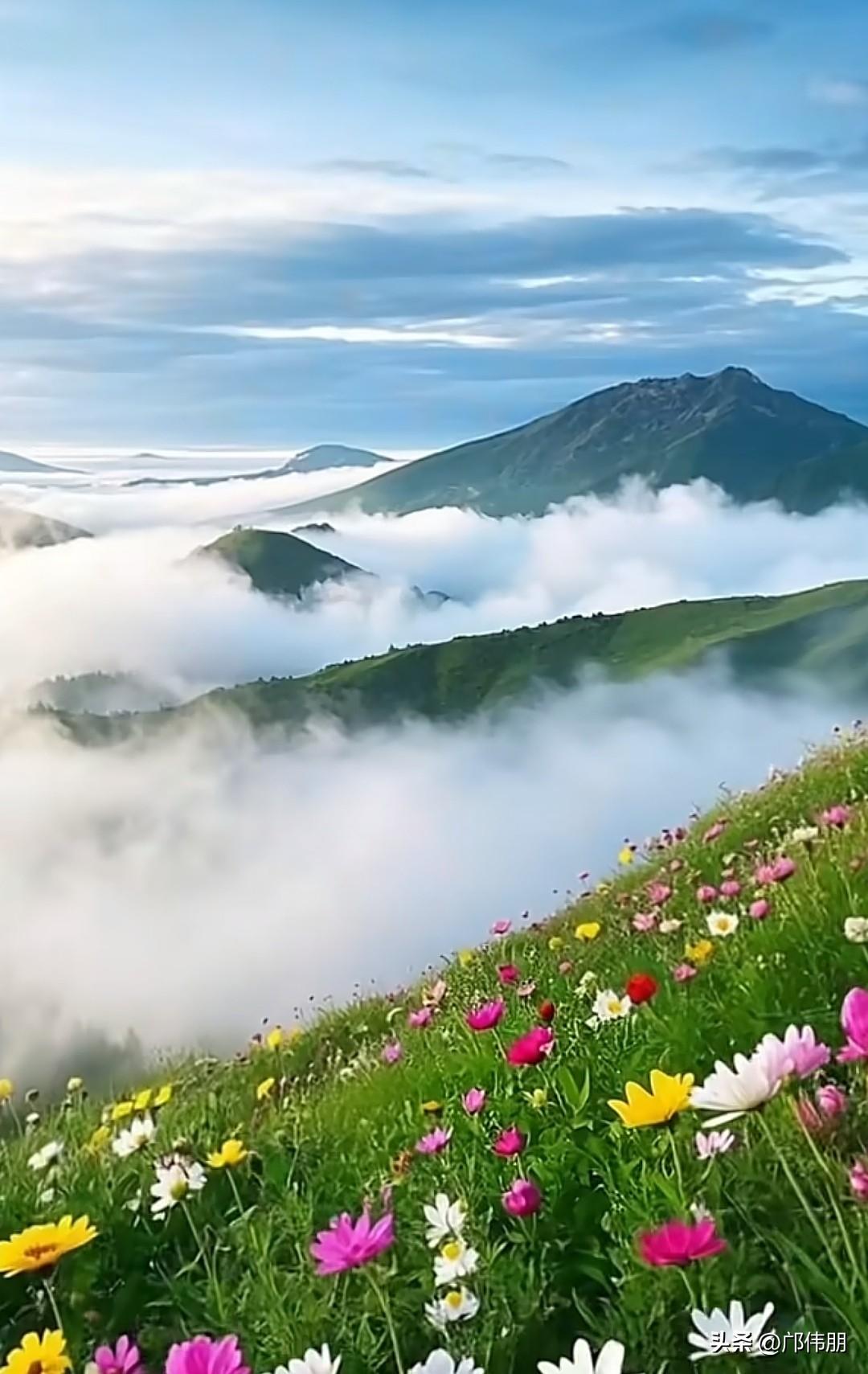 七律·凌云
云叠危崖路万重，
振衣直上最高峰。
松涛卷雾穿衣过，
海日衔天破霭红