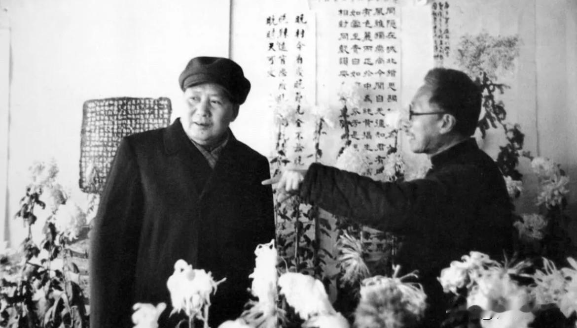 1951年12月，毛泽东主席在北京海淀㛃园赏菊。海淀尚庄的㛃园——民国北洋农林部