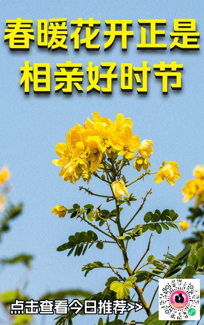 春暖花开，正是相亲好时节！🌸💕