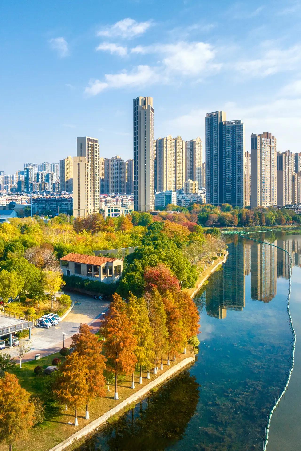 56🌙奋进江城共筑新篇
新年第一天，又是为江城武汉打call的一天❗新的一天，