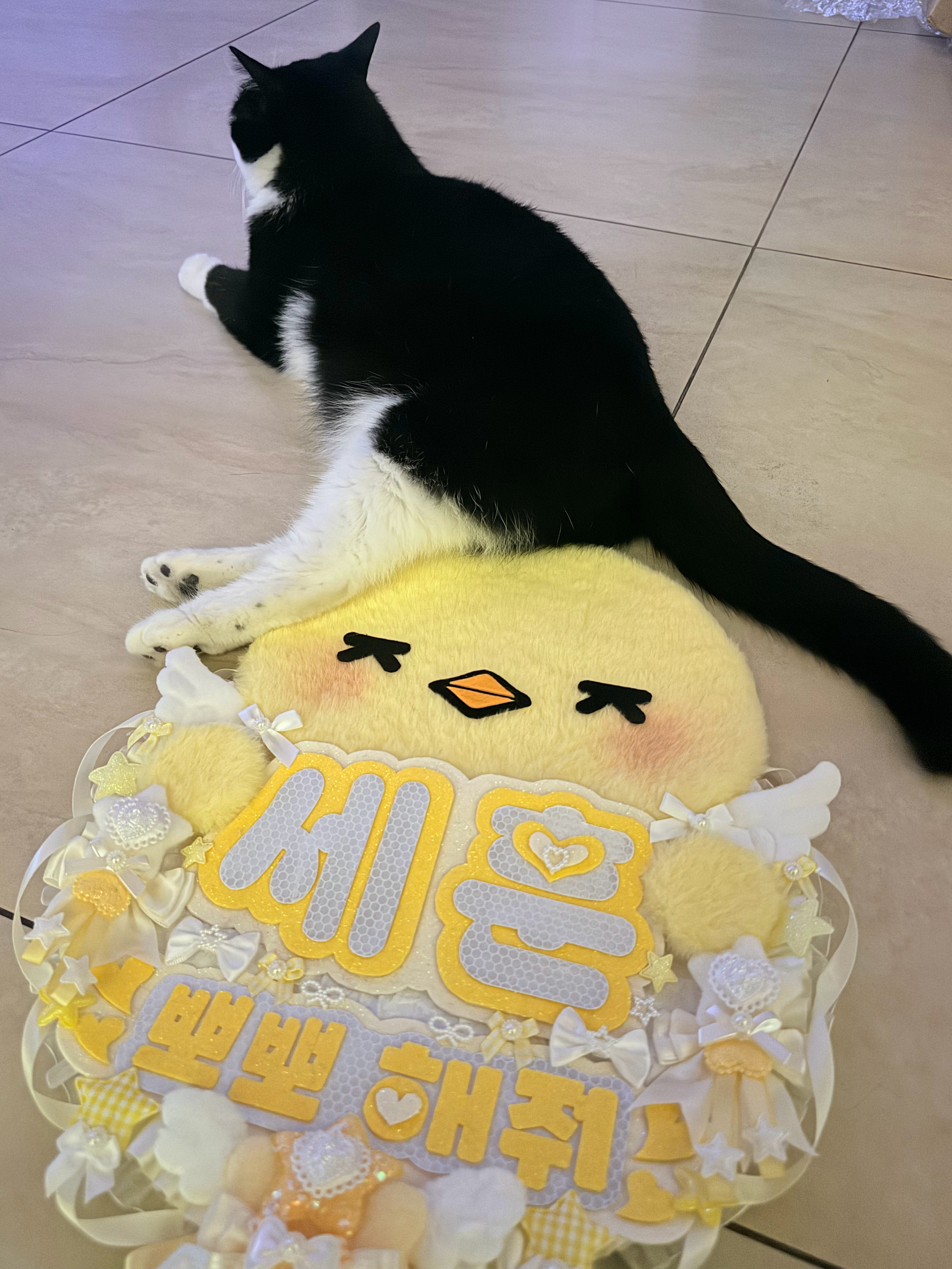 这个汤圆有点坏了 