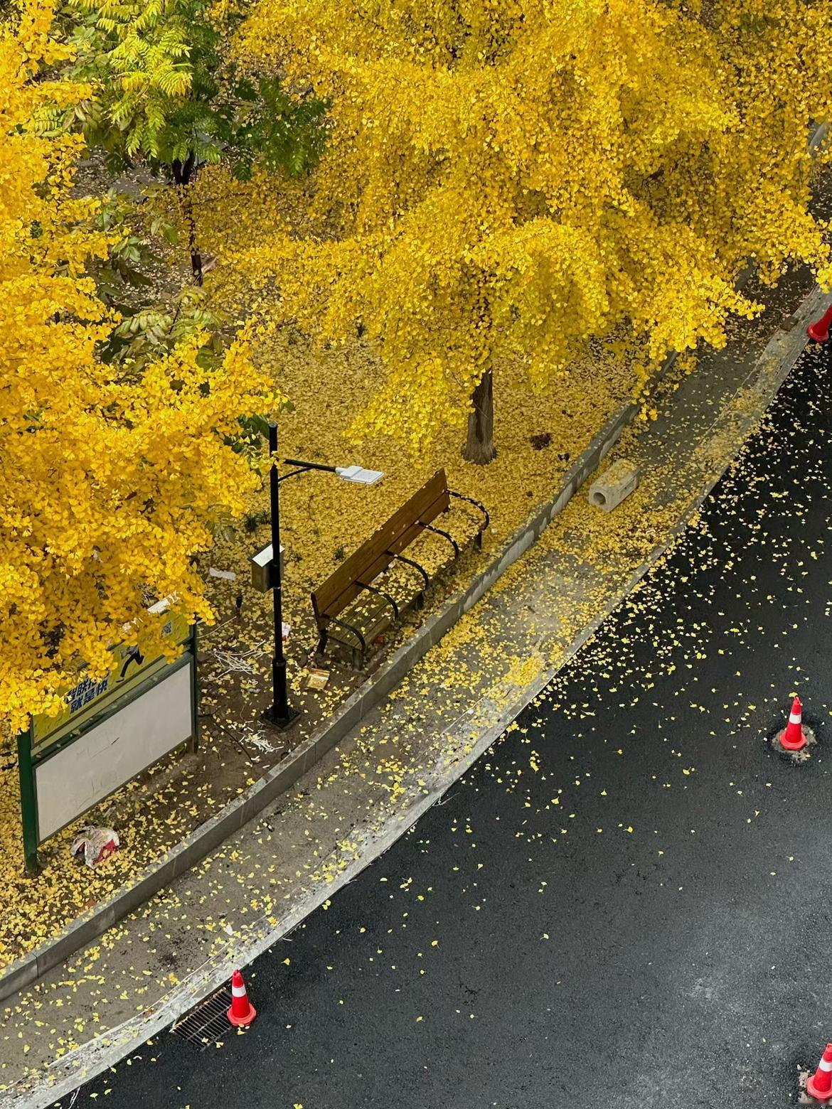 我的今日状态：💰期待暴富
我这里的天气：☀️晴天