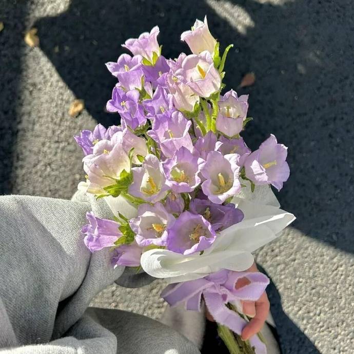 不想成为随处可见的人，这种人随处可见。 