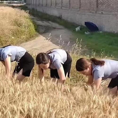 想问一下，这是什么单位的？这是来体验下地干农活吗？