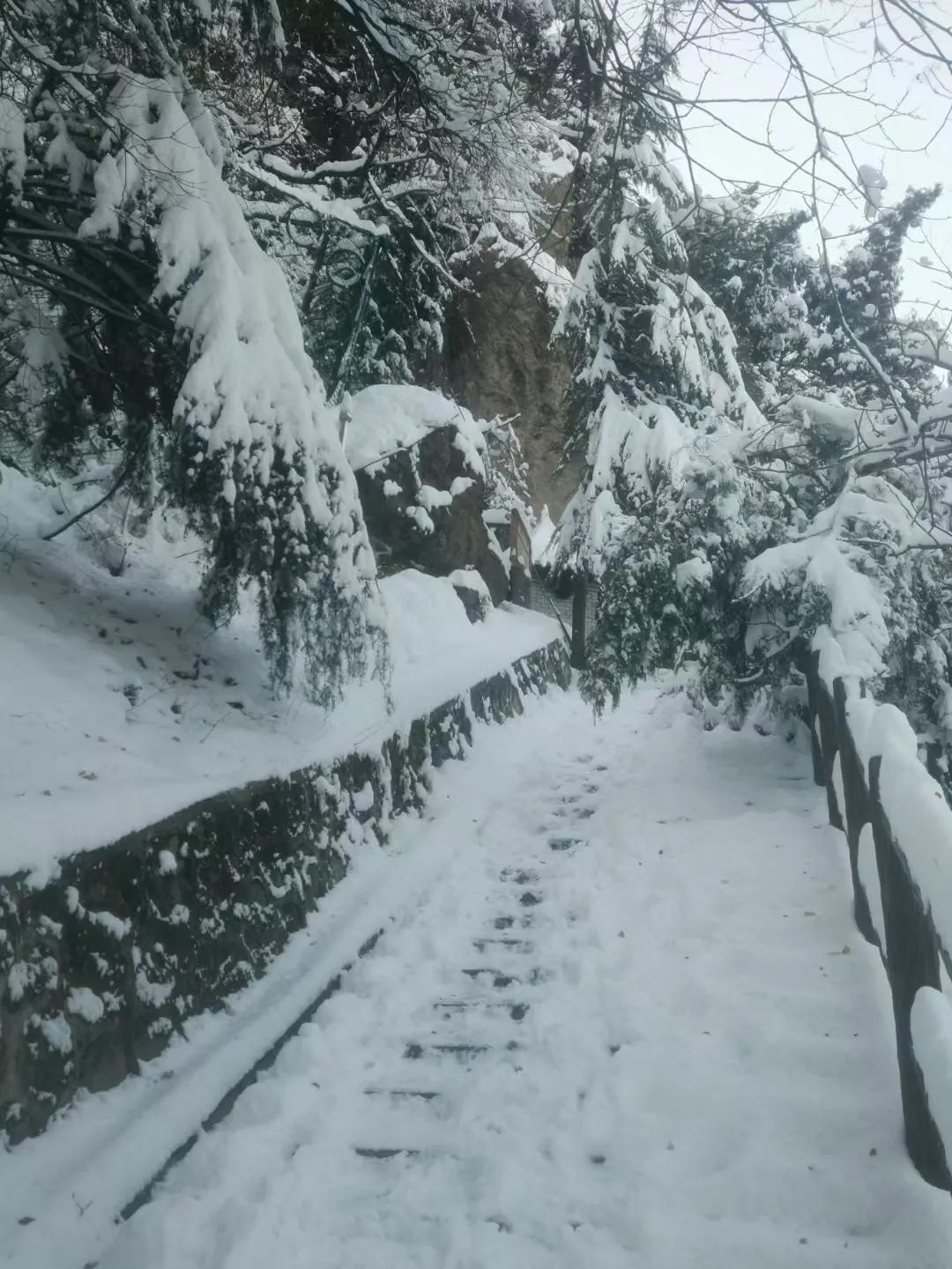 陕西西安、骊山的雪：
   第一场雪很大，
压断很多柏树、横挡住不宽山路；
万木