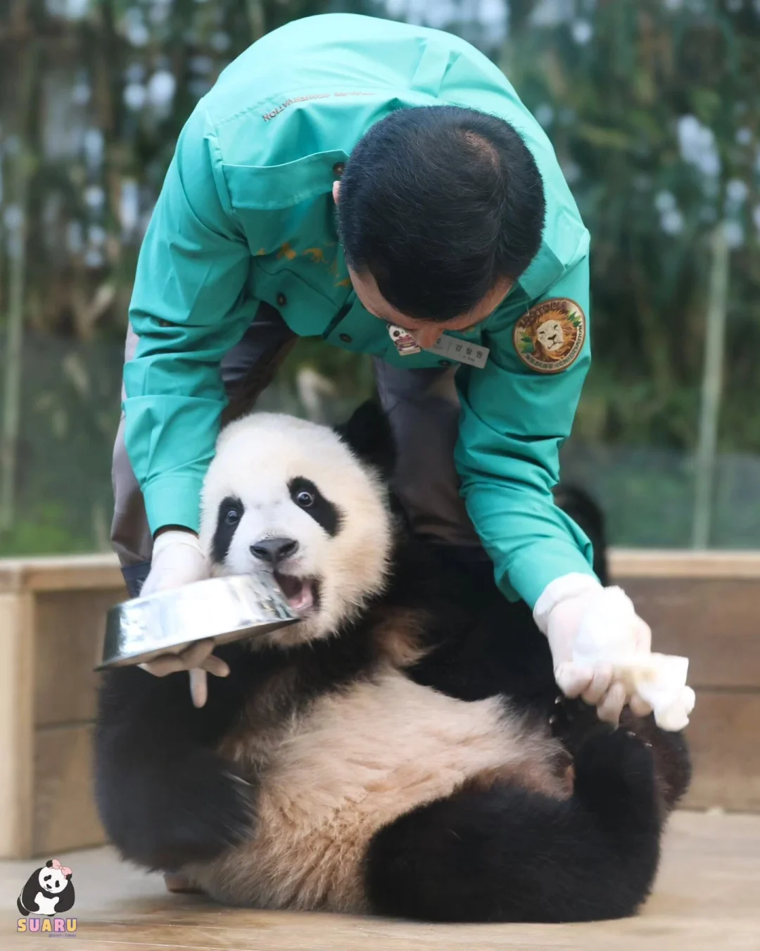 睿：爷爷我真的喝完了吗🤣
