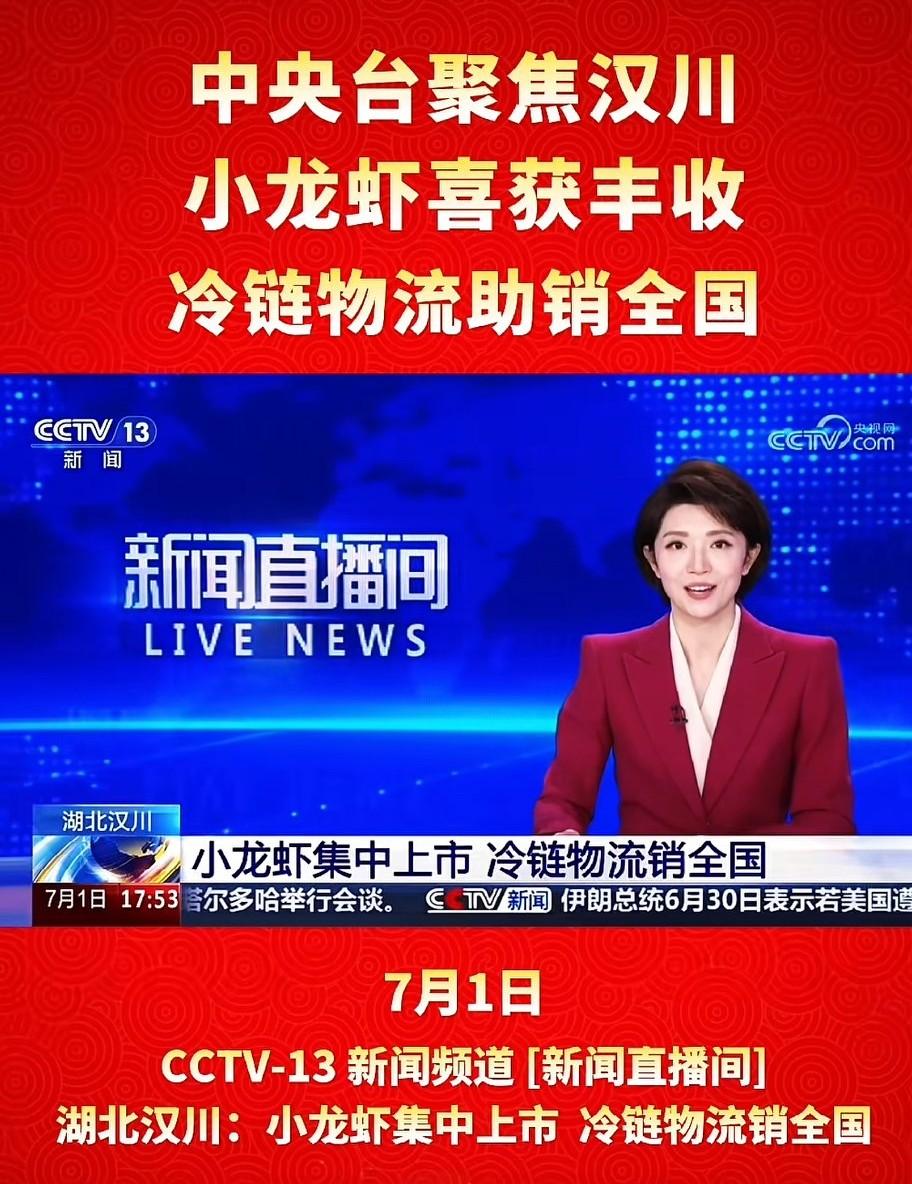 中央台聚焦汉川 小龙虾喜获丰收  冷链物流助销全国