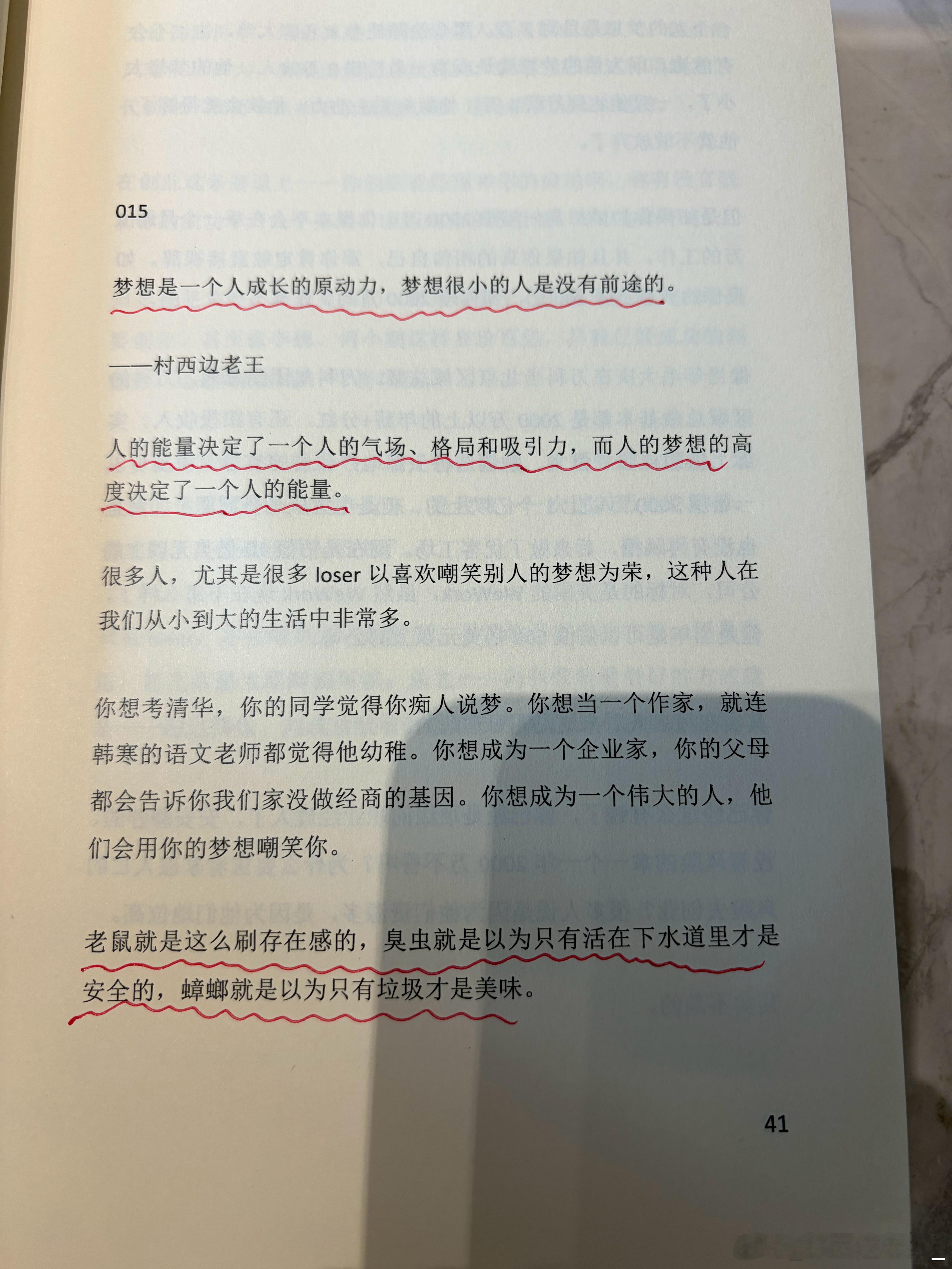 梦想是一个人成长的原动力，梦想很小的人是没有前途的。人的能量决定了一个人的气场、