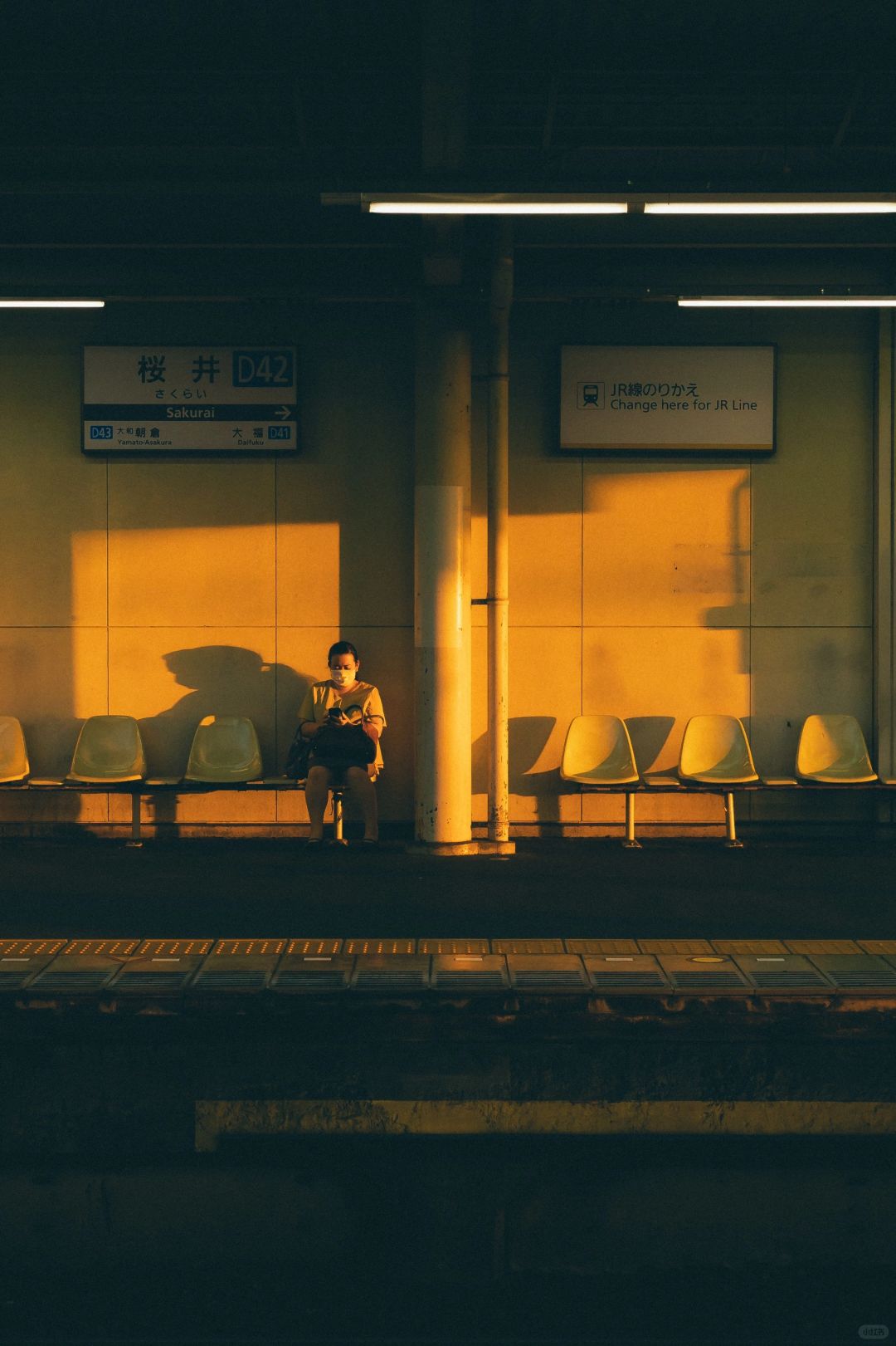 影像发现计划｜保持热爱📷，奔赴山海