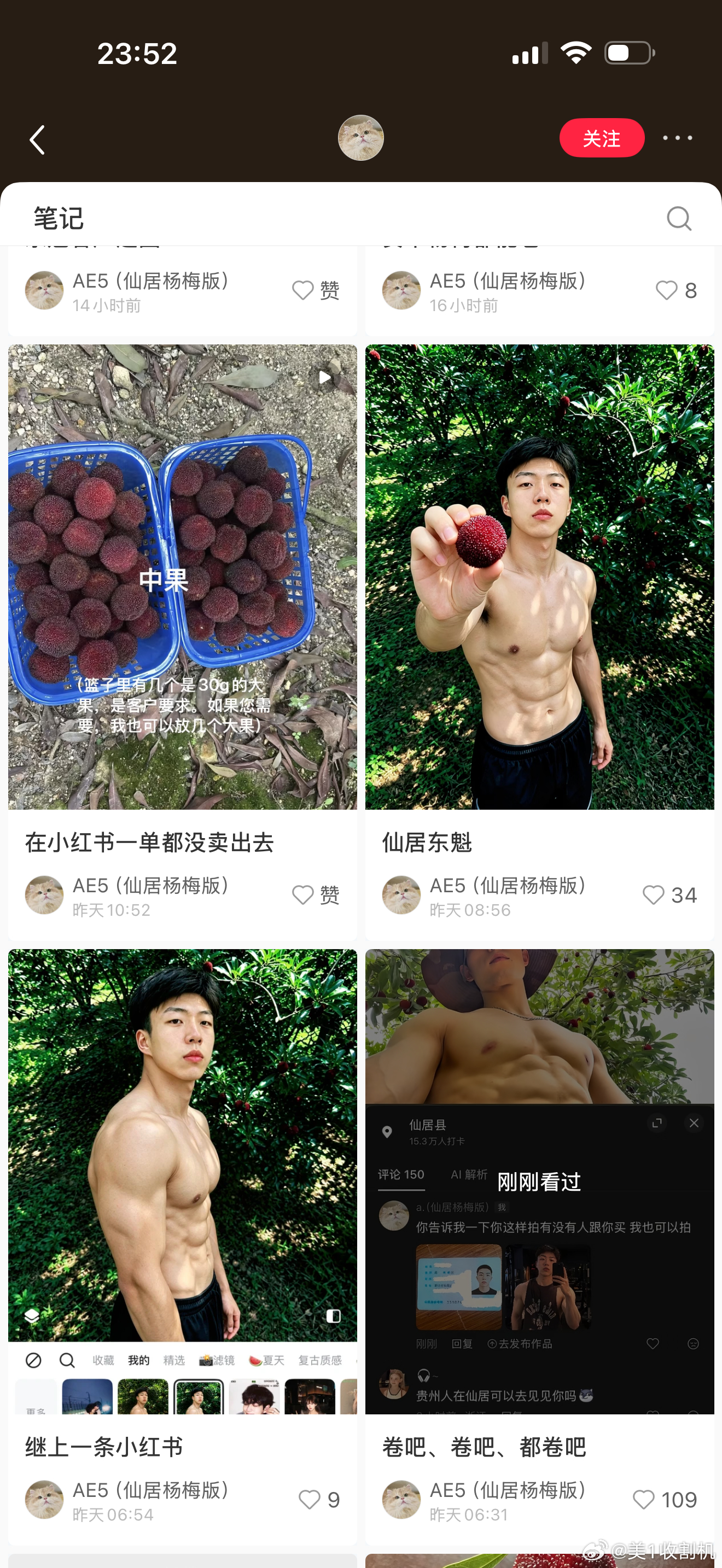 不想帮我表弟卖杨梅了感觉我找到了我命中注定的合作伙伴