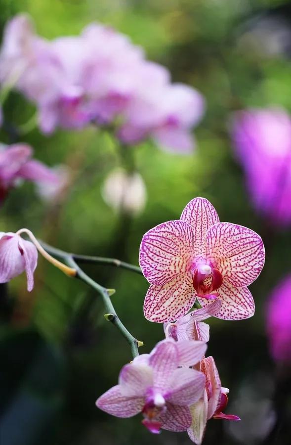 周日晚间再度传来利好消息；本周多趋势板块探讨！
周日晚间利好消息如下：
一、据媒