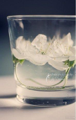It's better to be with NO ONE than to be