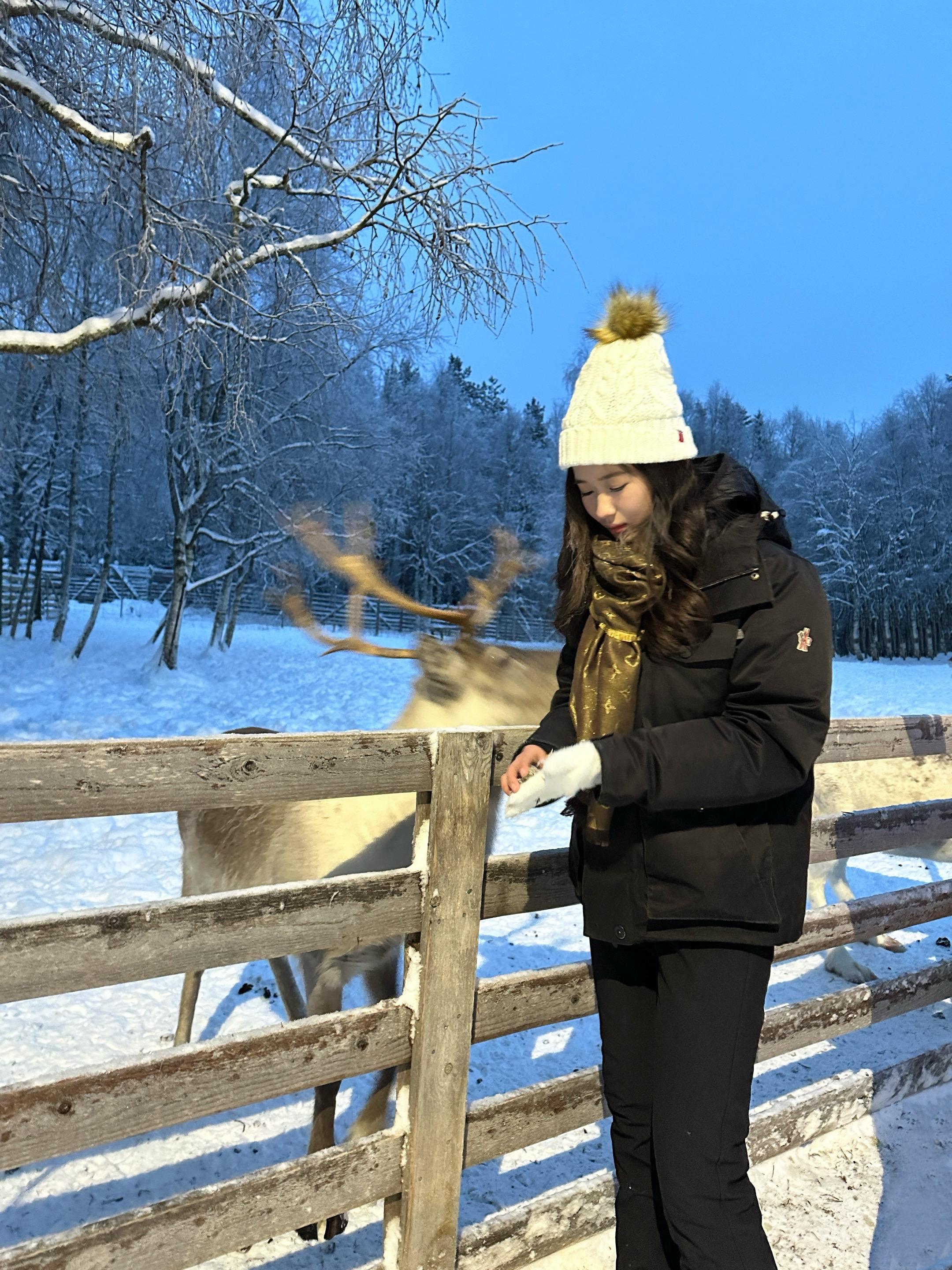 那天晚上满天星星