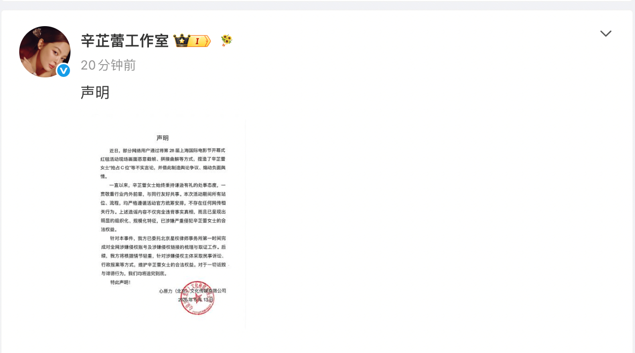 辛芷蕾方特此声明，要告人了