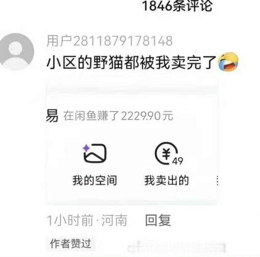 对于伪善的投喂者来说，这人真不厚道，居然抓猫去咸鱼卖。对流浪猫来说，活菩萨呀！ 