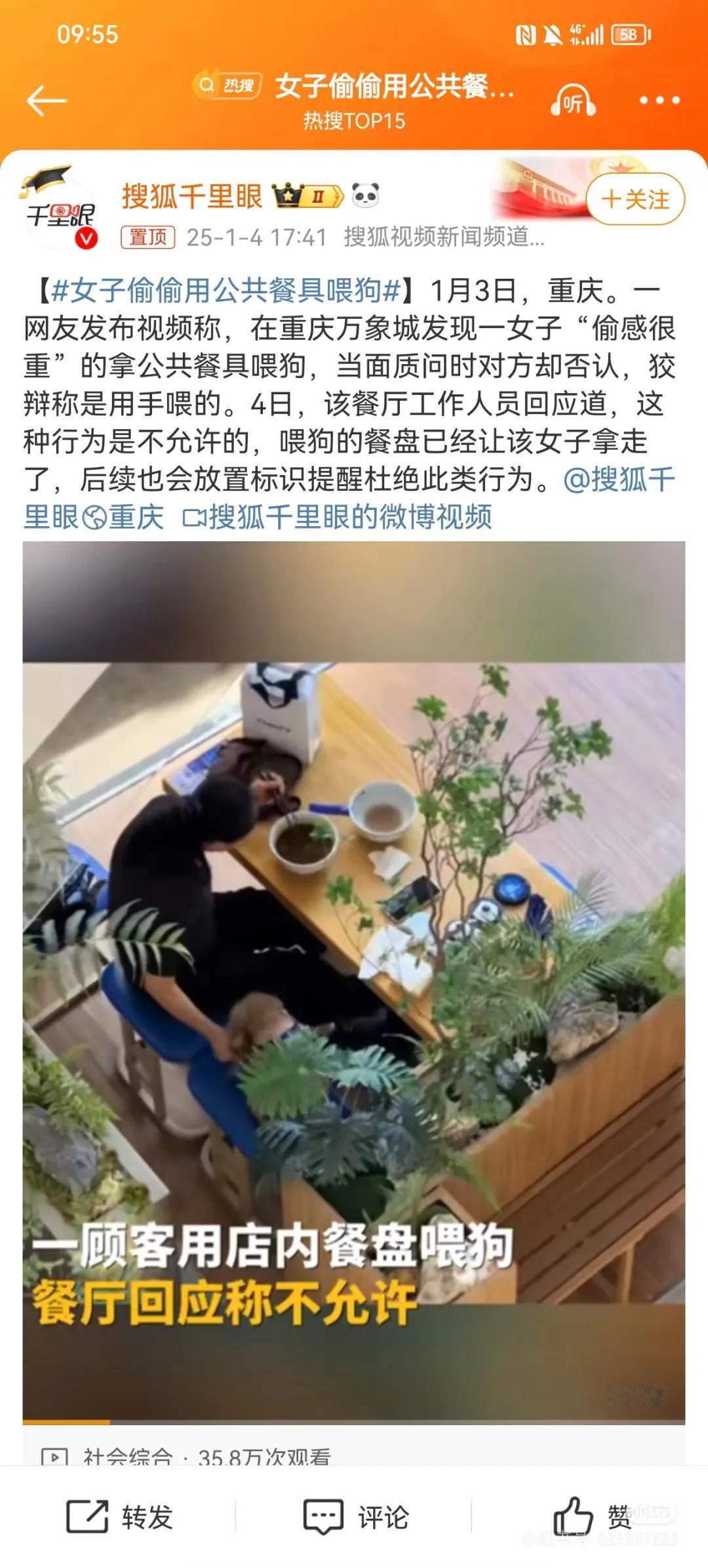 我想请问什么叫宠物友好饭店？
是不是狗能上桌，同时也可以用餐厅的暴餐具吗？
如果